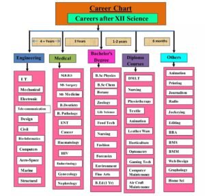 After 12 science Career guide